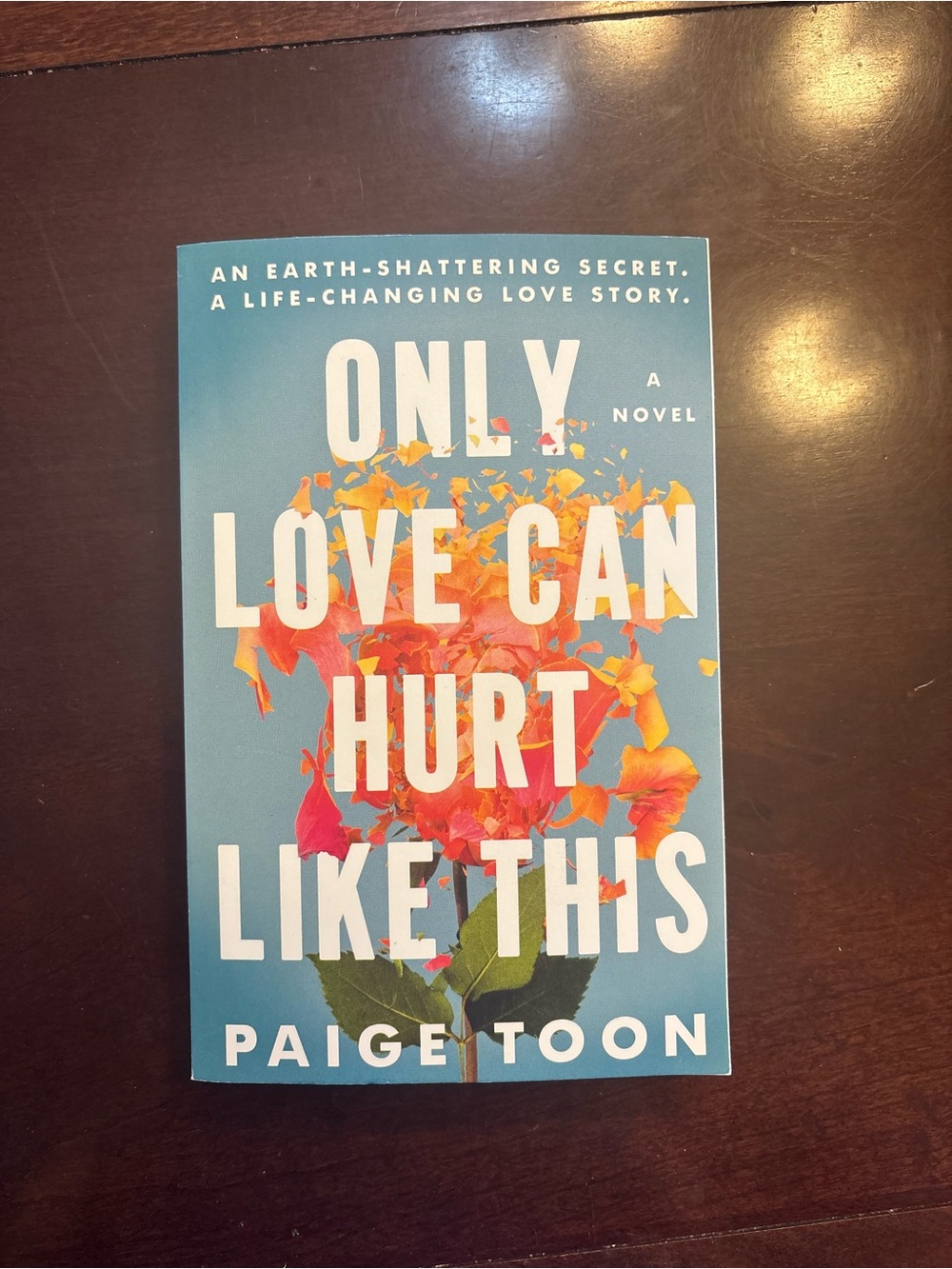 Only Love Can Hurt Like This by Paige Toon - Adult Romance Paperback Book